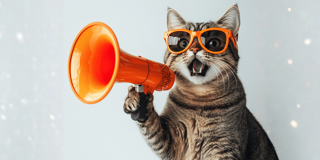 Erkek Kedilerde Koku Bırakma: Nedenleri ve Önleme Yöntemleri