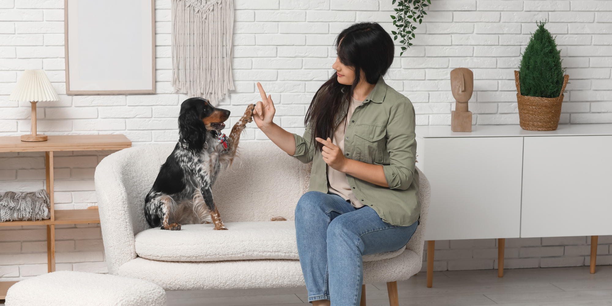 Köpeklere Öğretilmesi Gereken En Önemli Komutlar