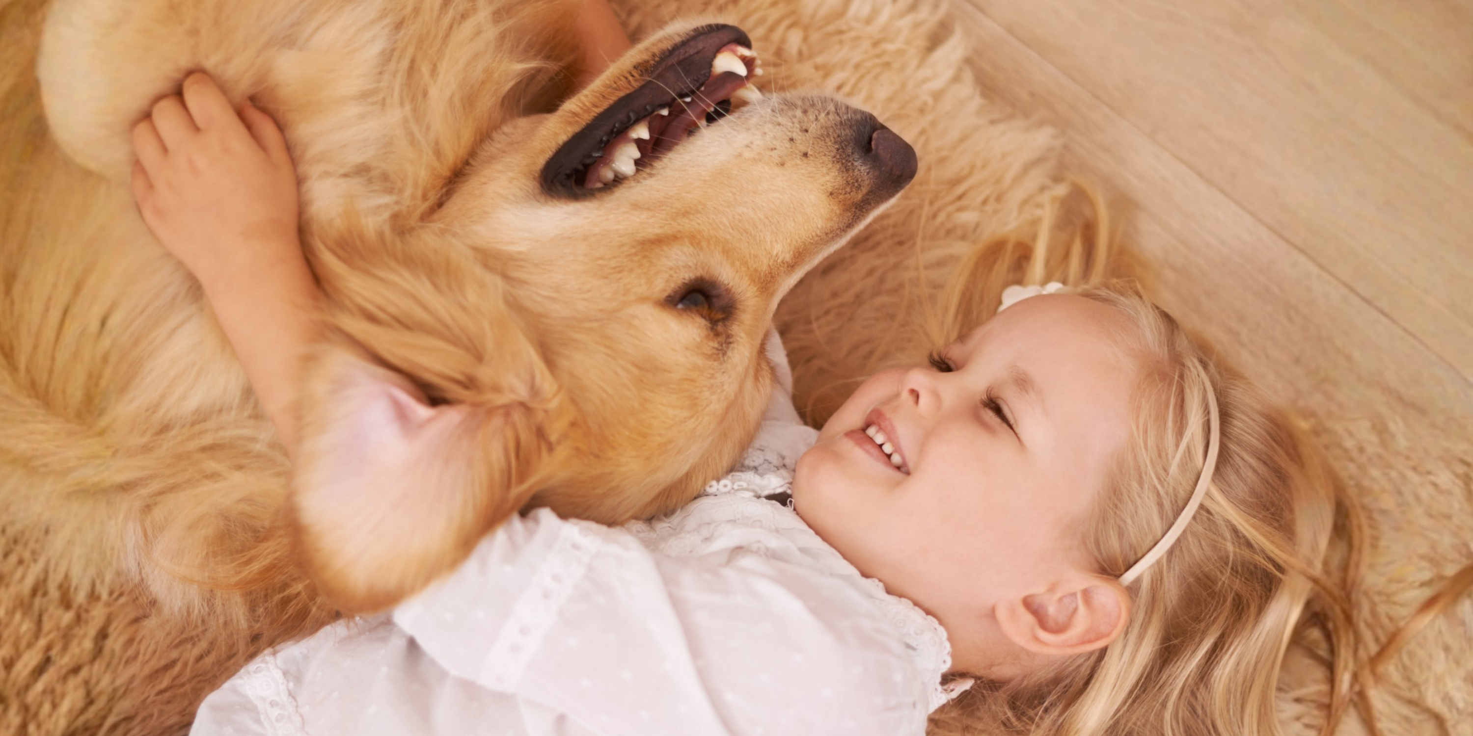 Köpeklerle Büyüyen Bebeklerde Astım Riski Daha Düşük