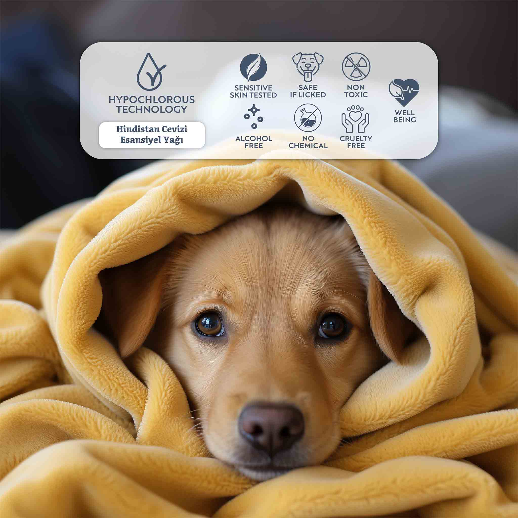 Dodonut Calmy 5in1 temizleme spreyi kedi ve köpek dostlarımız için özel olarak formüle edilmiştir. İçeriğinde bulunan hipokloröz asit, tüm memelilerde beyaz kan hücreleri tarafından doğal olarak üretilen, fizyolojik bir moleküldür.