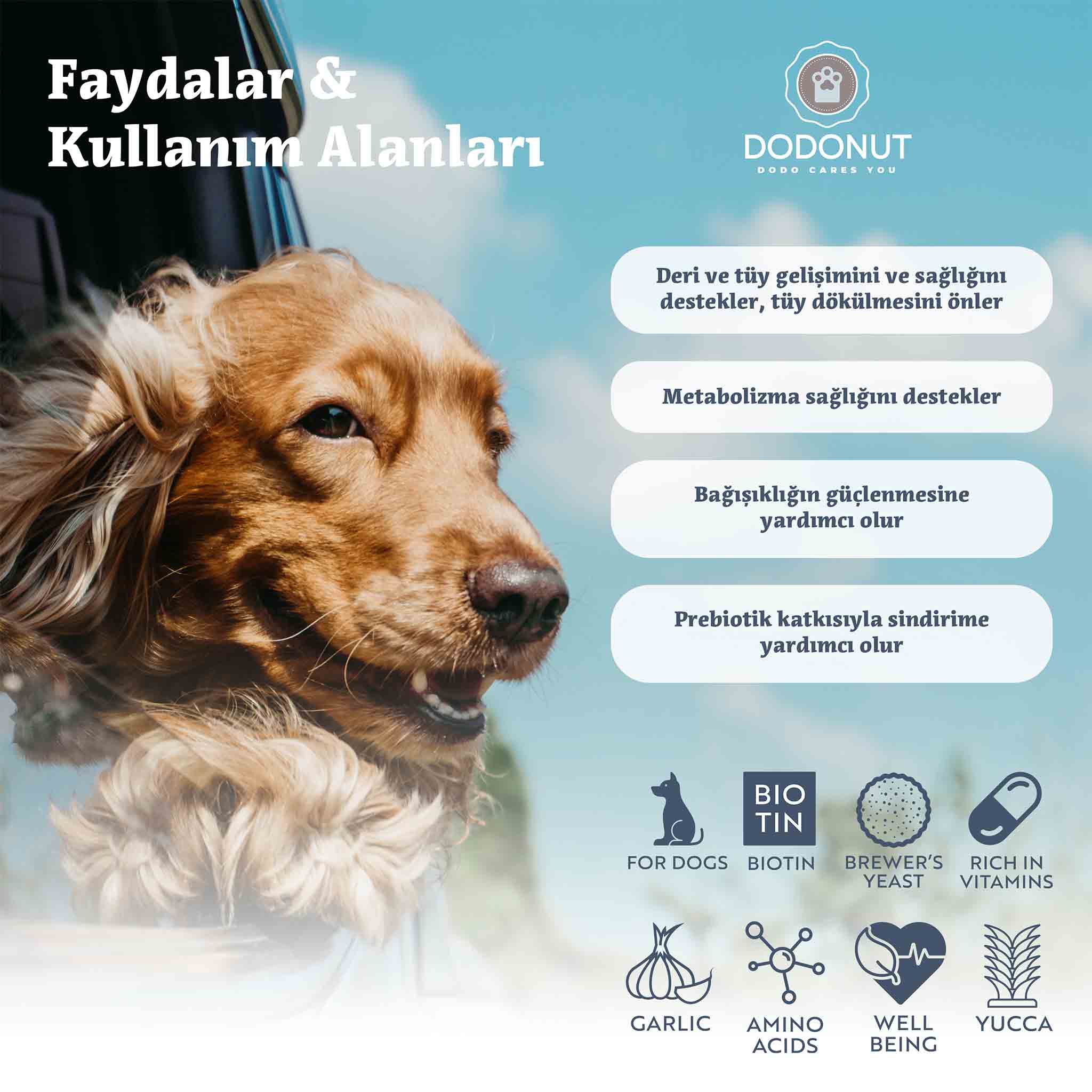 Yucca, Biotin, B Vitaminleri, E Vitamini, Folik Asit, Amino Asitler ve Prebiyotiklerle güçlendirilmiş, bira mayası ve sarımsak içeren, köpeklerin cilt ve bağırsak sağlığını korumak amacıyla hazırlanmış besin takviyesidir.