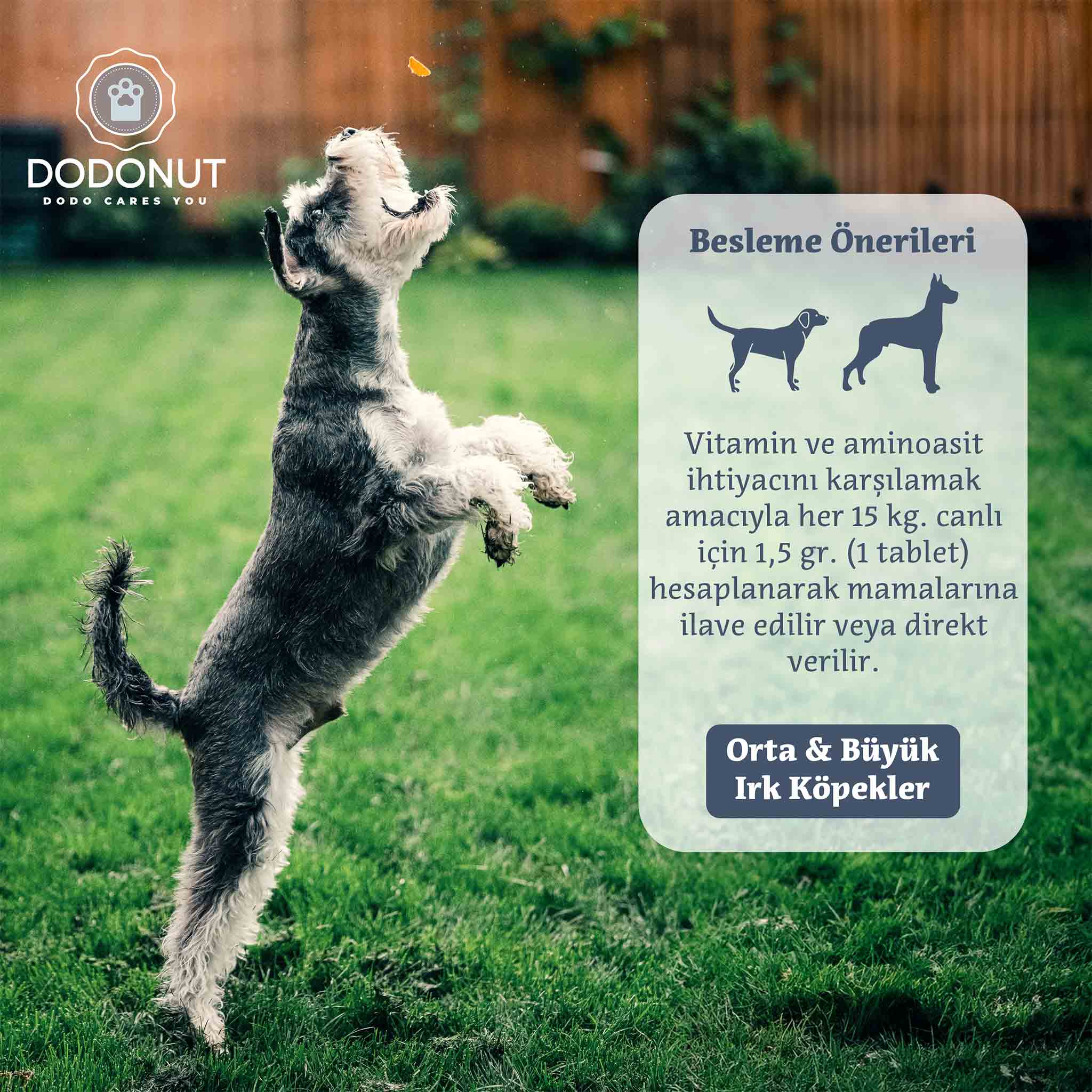 Yucca, Biotin, B Vitaminleri, E Vitamini, Folik Asit, Amino Asitler ve Prebiyotiklerle güçlendirilmiş, bira mayası ve sarımsak içeren, köpeklerin cilt ve bağırsak sağlığını korumak amacıyla hazırlanmış besin takviyesidir.