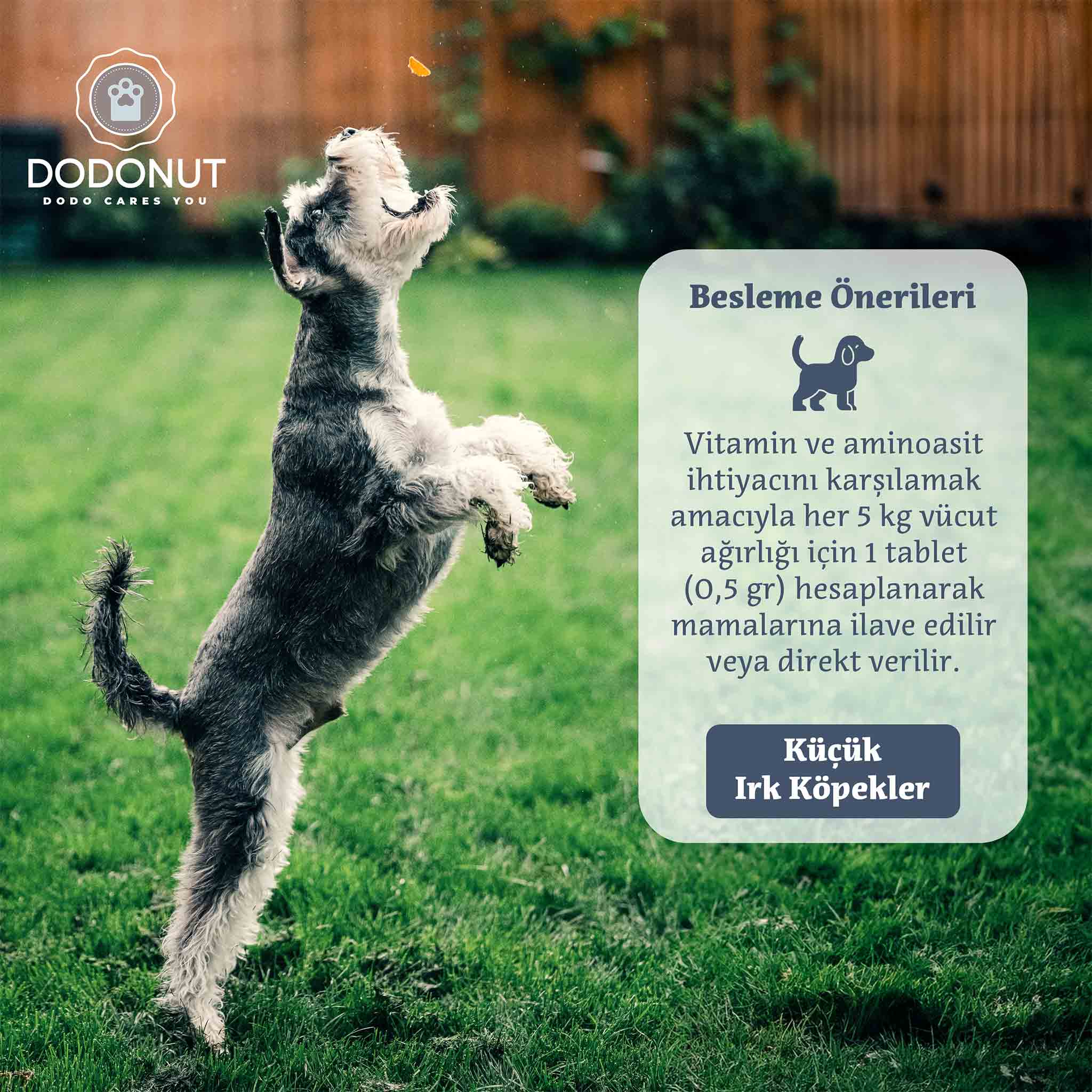 Dodonut HappyDerm Küçük Irk: Yucca, Biotin, B Vitaminleri, E Vitamini, Folik Asit, Amino Asitler ve Prebiyotiklerle güçlendirilmiş, bira mayası ve sarımsak içeren, köpeklerin cilt ve bağırsak sağlığını korumak amacıyla hazırlanmış besin takviyesidir.