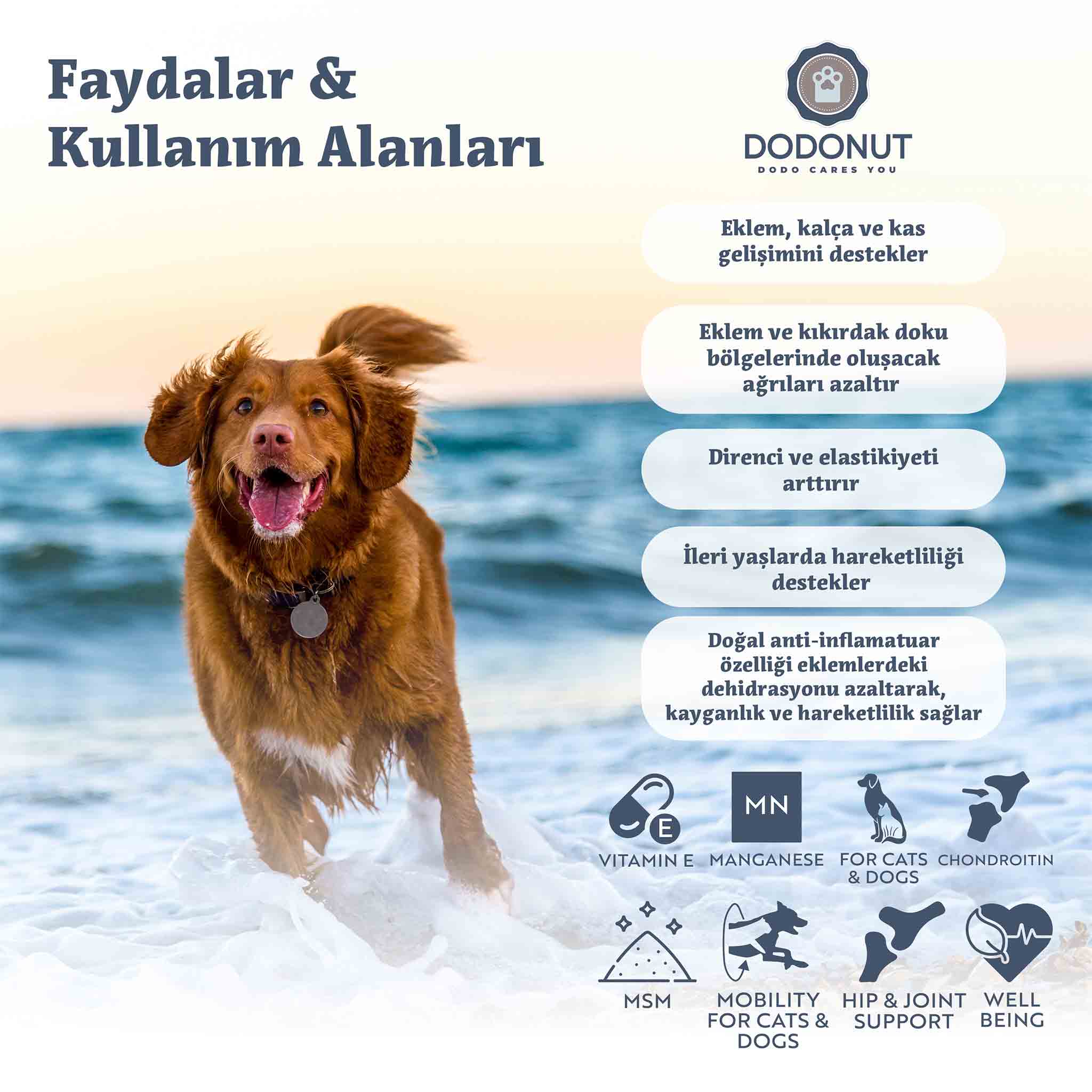 Dodonut HappyHips, köpeklerin sağlıklı ve güçlü eklemlere sahip olarak dilediklerince koşup yaşayabilmeleri için özel olarak formüle edilmiş destek ürünüdür.