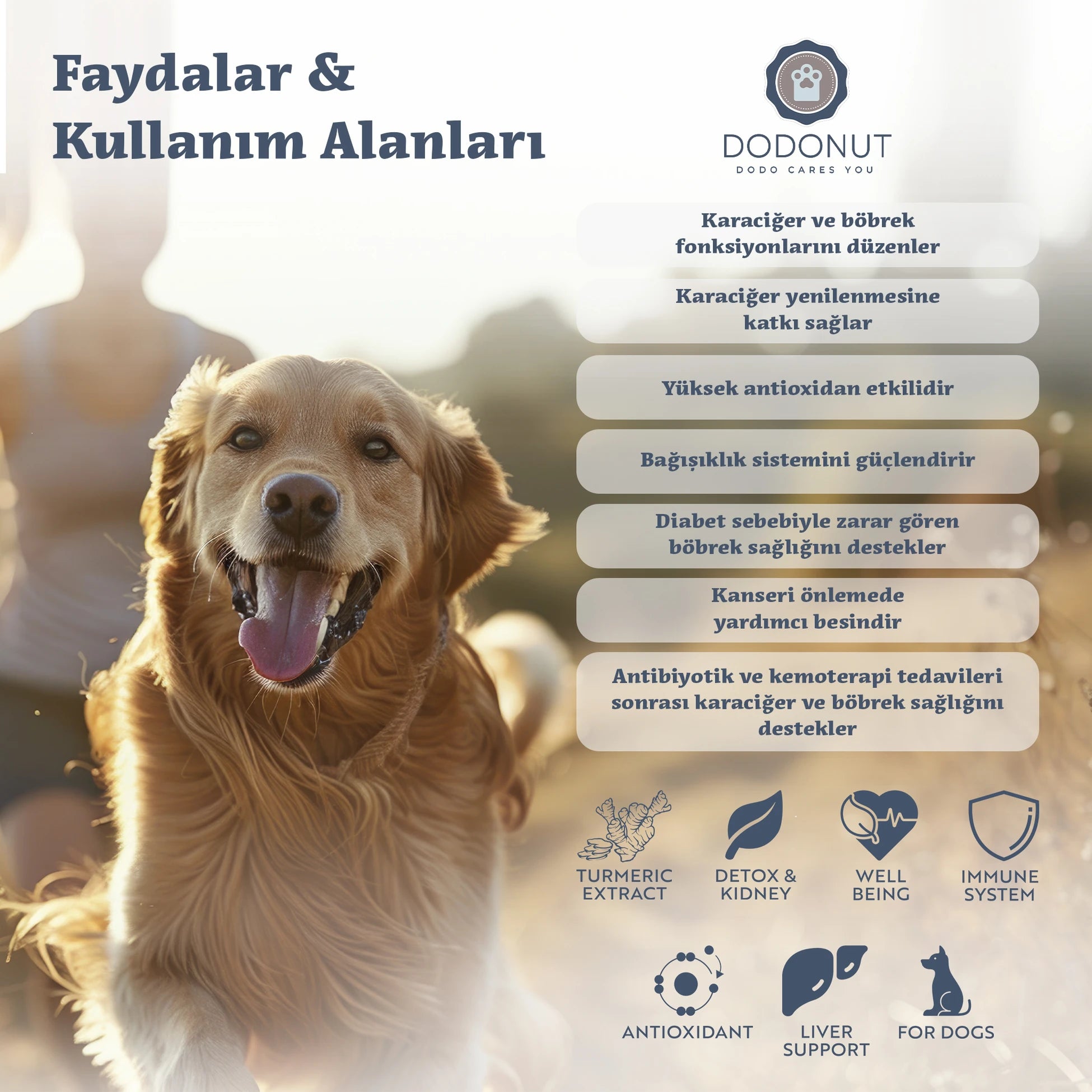 Dodonut Liver&amp;Kidney: Kedi ve köpeklerin bağışıklık sistemini destekleyen, karaciğer ve böbrek fonksiyonlarını düzenlemeye yardımcı bir besin tavsiyesidir.