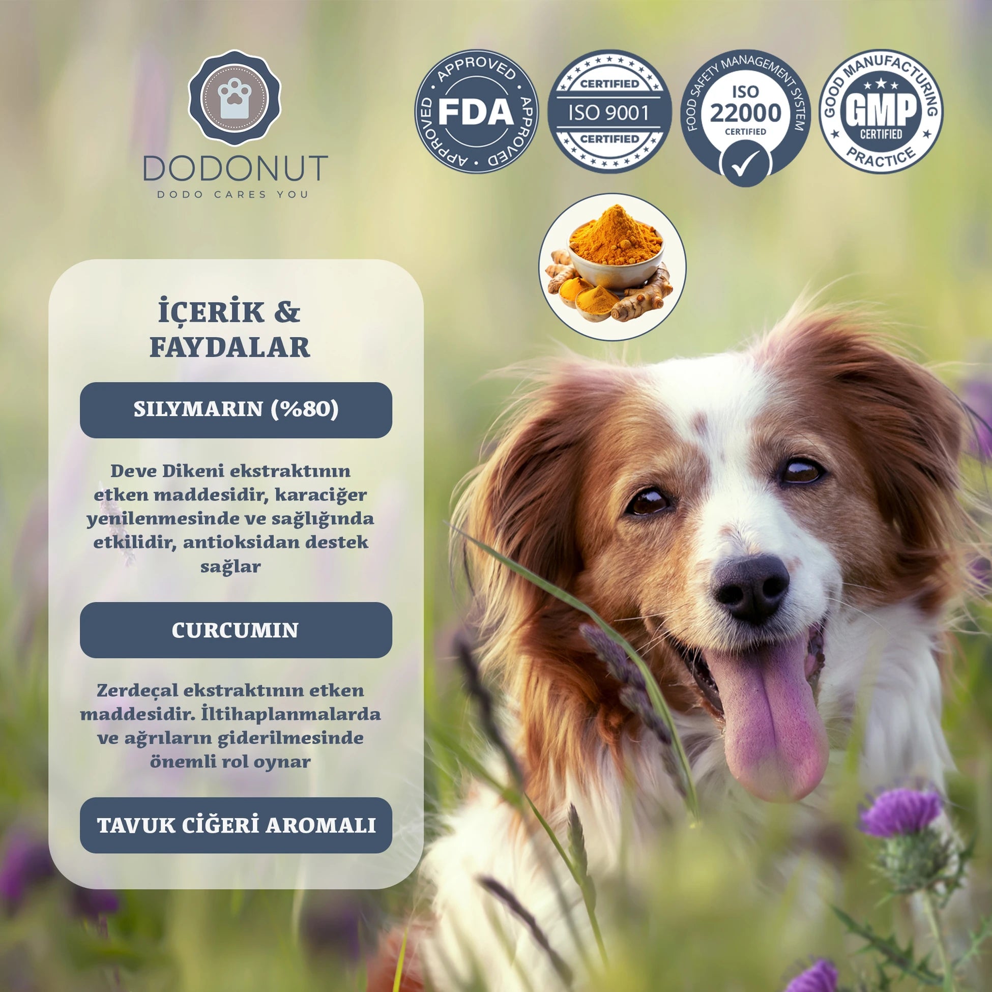 Dodonut Liver&amp;Kidney: Kedi ve köpeklerin bağışıklık sistemini destekleyen, karaciğer ve böbrek fonksiyonlarını düzenlemeye yardımcı bir besin tavsiyesidir.