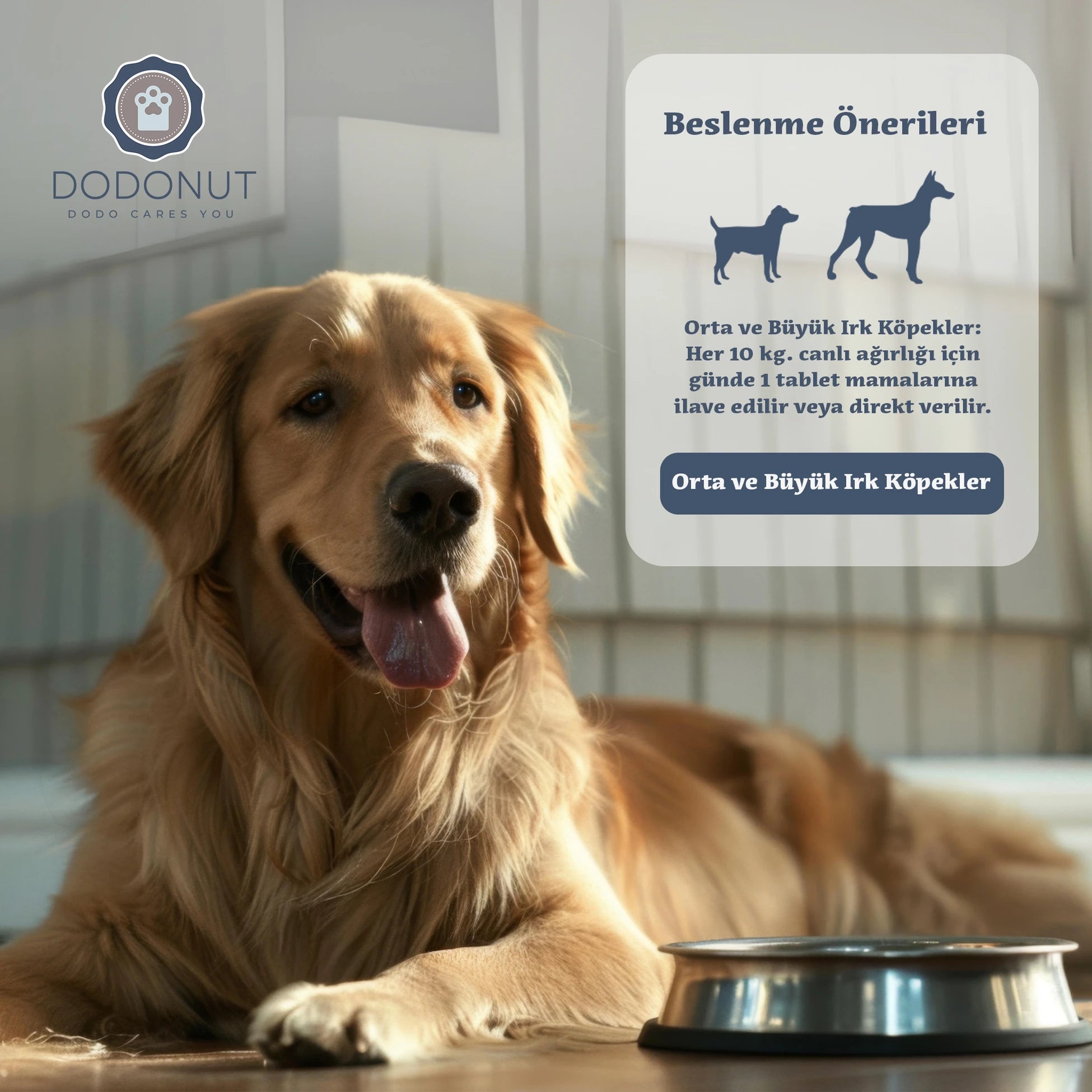 Dodonut Liver&amp;Kidney: Kedi ve köpeklerin bağışıklık sistemini destekleyen, karaciğer ve böbrek fonksiyonlarını düzenlemeye yardımcı bir besin tavsiyesidir.