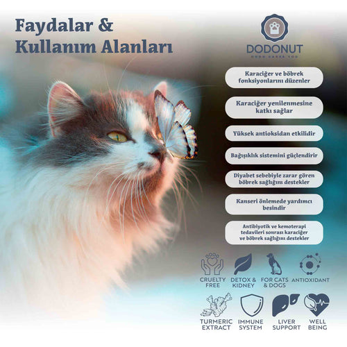Dodonut Liver&amp;Kidney: Kedi ve köpeklerin bağışıklık sistemini destekleyen, karaciğer ve böbrek fonksiyonlarını düzenlemeye yardımcı bir besin tavsiyesidir.