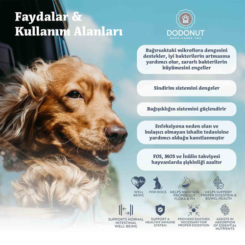 Dodonut NaturaFlora, köpeklerin dengeli sindirim sağlığının korunmasına yardımcı olmak için özel olarak geliştirilmiş, prebiyotik ve probiyotik bakteri kompleksi içeren besin takviyesidir. Bağırsak mikroflorasını destekler: İyi bakterilerin artmasına yardımcı olur, zararlı bakterilerin büyümesini engeller. Sindirim sistemini dengeler: Düzenli kullanım, sindirim fonksiyonlarının sağlıklı çalışmasını destekler.

