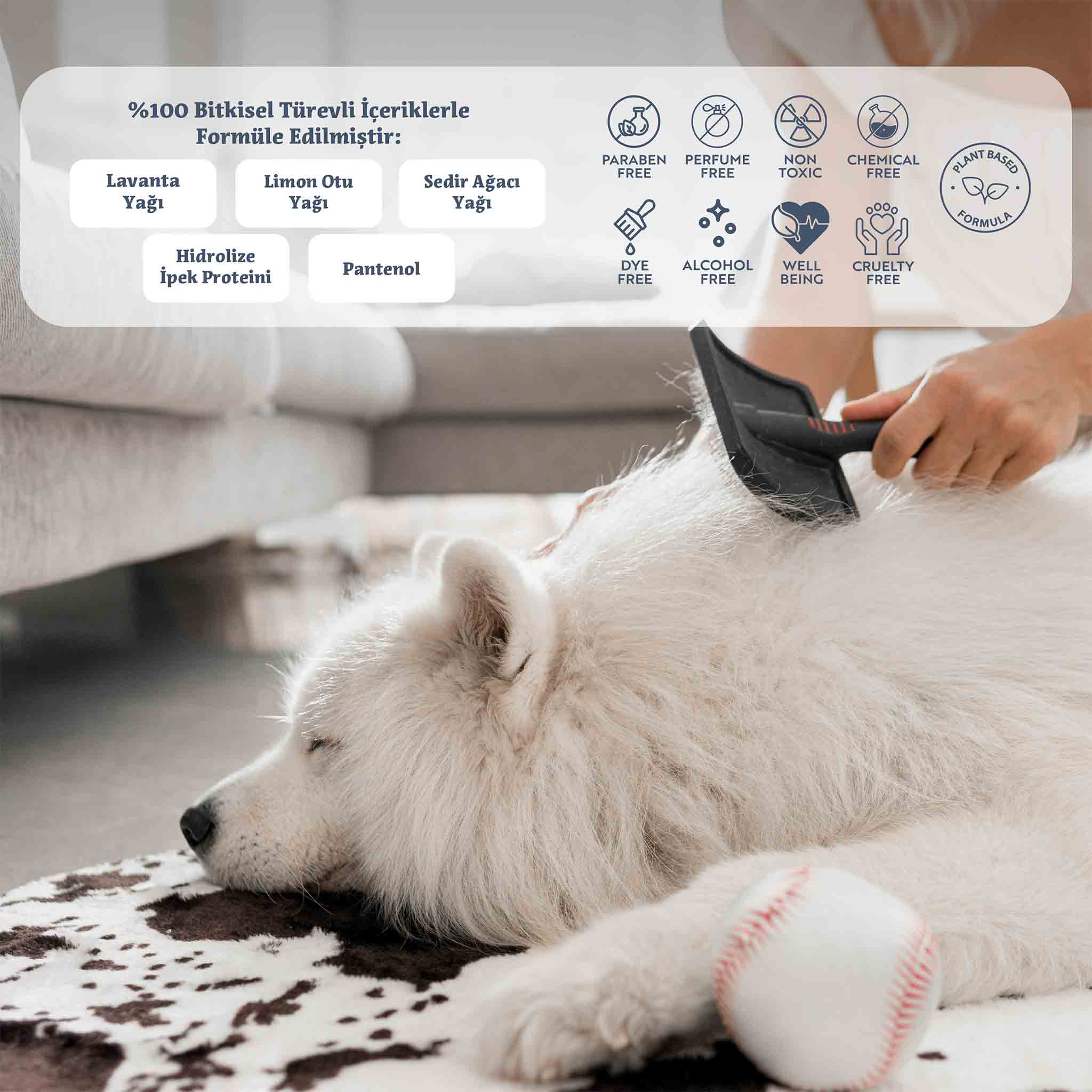 Springy Kolay Tarama ve Pire, Kene, Sinek Spreyi, Kedi&Köpek, 250 ML