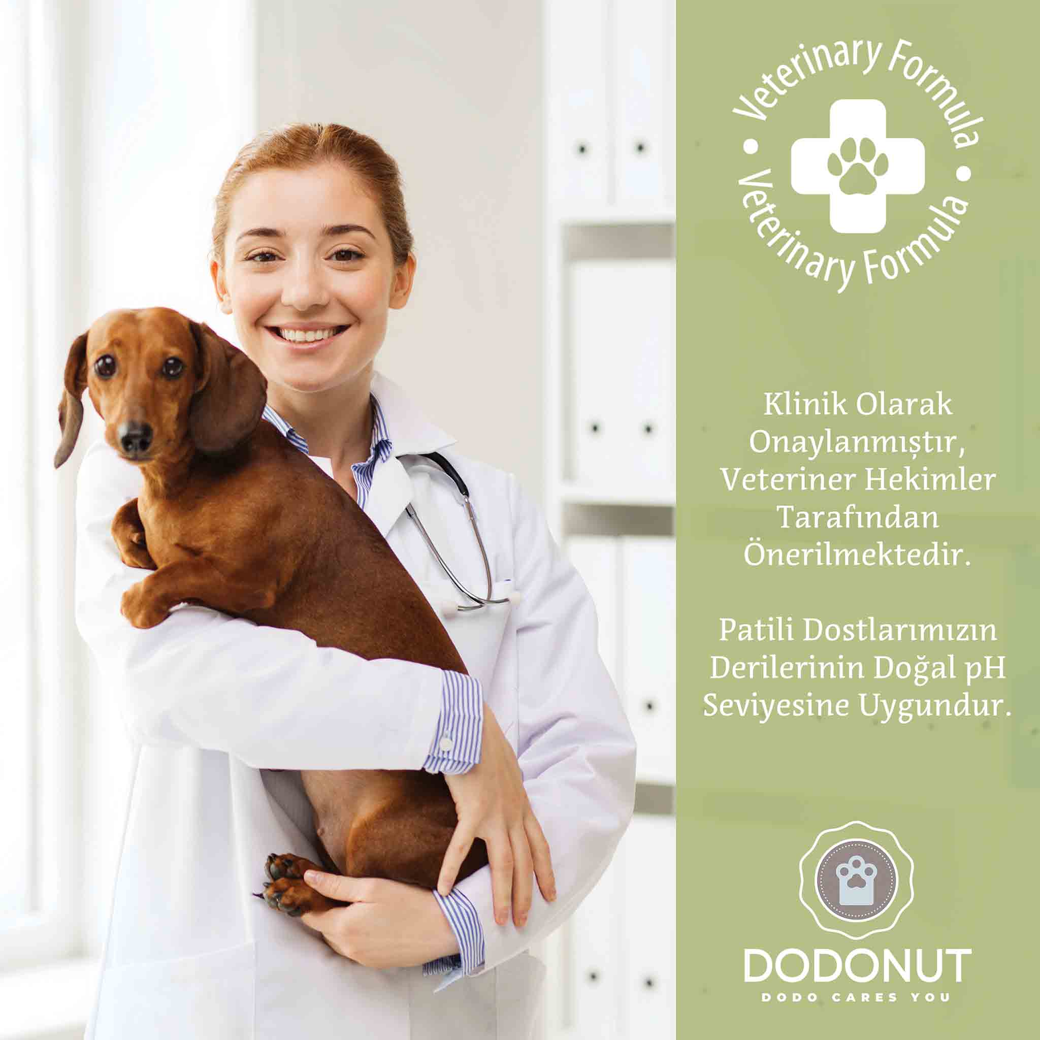 Springy Kolay Tarama ve Pire, Kene, Sinek Spreyi, Kedi&Köpek, 250 ML